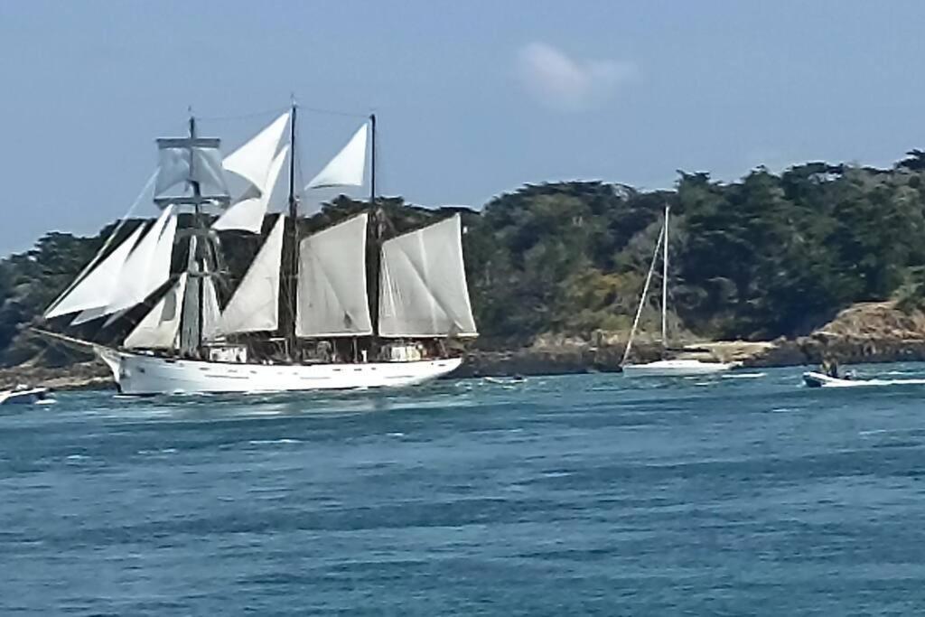 Entre Golfe Et Ocean
