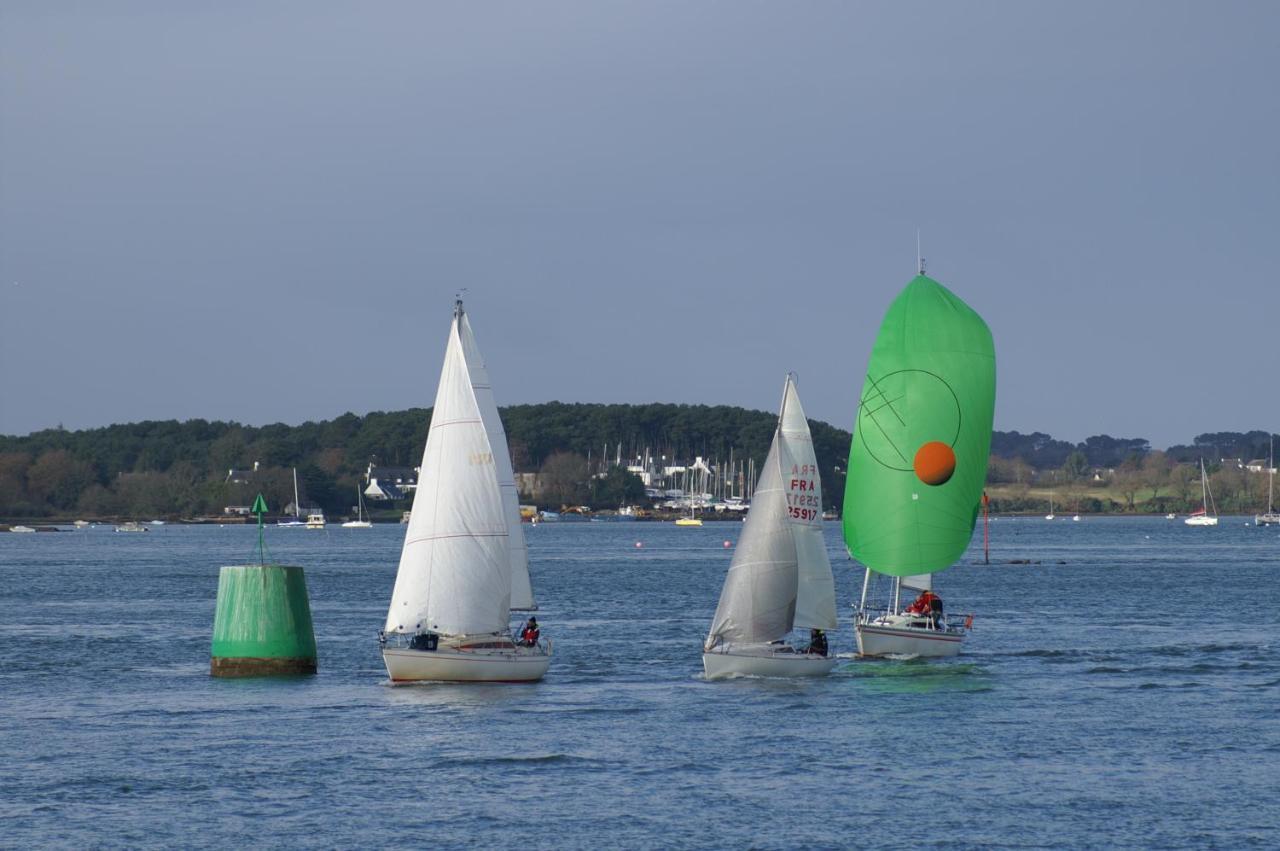 Entre Golfe Et Ocean * La Trinité-Surzur