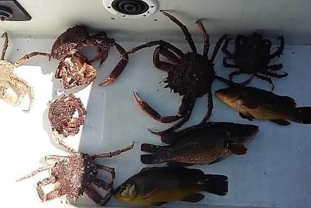 Hébergement de vacances Entre Golfe Et Ocean